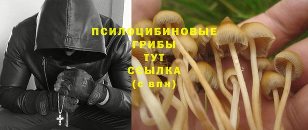 mdpv Балахна
