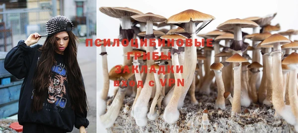 mdpv Балахна