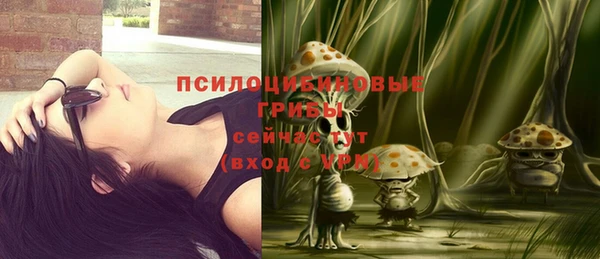 Альфа ПВП Балабаново