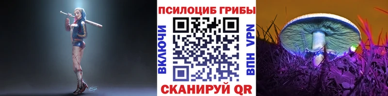 Галлюциногенные грибы прущие грибы  купить наркотик  Стародуб 
